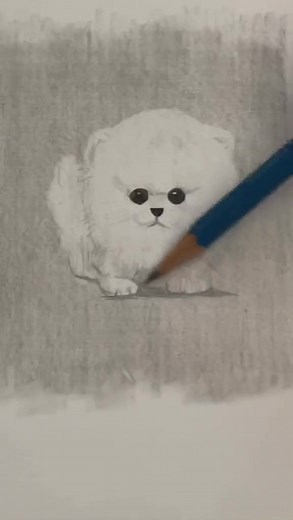For sure the easiest way to draw a dog. #drawinglesson #teacuppomeranian
