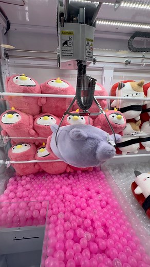 Claw Machine Jackpots 😮 #viral #clawmachine #arcade #hacks #lifehacks | TYE Arcade