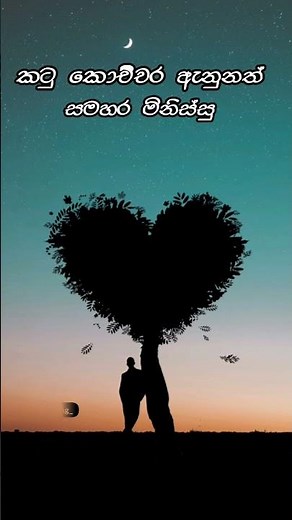 කතාව ඇත්ත නම් කමෙන්ට් කරන්න 🥺🥀Sinhala | Sad Love | Wadan | Adara Wadan | sinhala sad #wadan