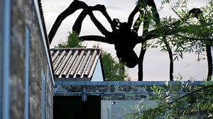 Our debut virtual reality exhibition and first ArtLab initiative, ’Beside Itself’, takes place on the site of our future gallery, Hauser & Wirth Menorca, allowing visitors a first look via an online preview of the art center ahead of its opening in 2021. Learn more: https://bit.ly/3aBRSxW | Hauser & Wirth