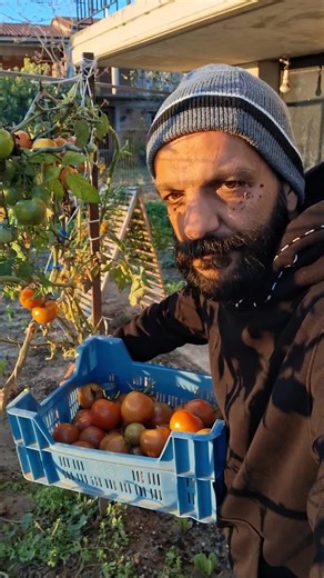 Έλα στον κήπο μου!! 😉 #φυση #μπαξες #κηπος #βιολογικαπροιοντα #βιολογικα