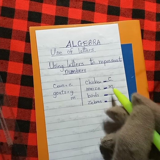 Algebra Grade 4, lesson 2.