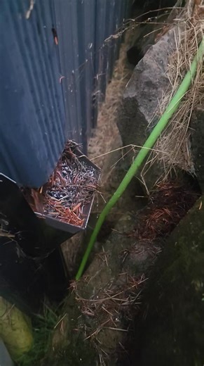 With the wind and the rain coming down now is a great time to clean your gutter system Give us a call for all your gutter and roof maintenance | 47 North Construction