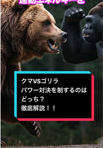 クマVSゴリラ：パワー系対決の結果は？