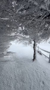 61K views · 4.2K reactions | Snow on the Beech ❄️ : @winviloria | Beech Mountain | Facebook