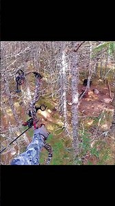 🏹 Perfect Bow Shot in the Wild | Silent Hunting Moment 🎯🌲#BowHunting #Archery #Wildlife #Hunting