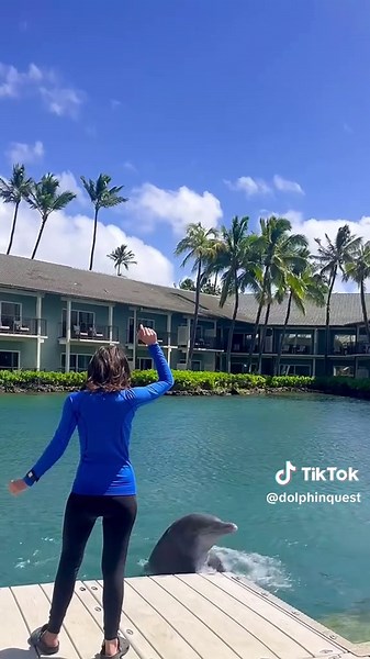 Engaging Dolphin Interactions: Fun and Adorable Moments