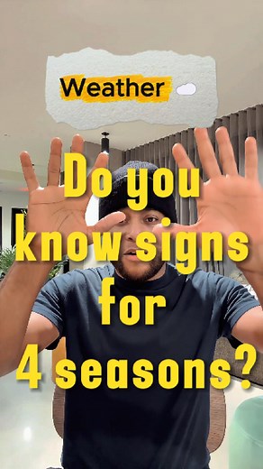 𝐖𝐞𝐚𝐭𝐡𝐞𝐫 𝐜𝐨𝐧𝐧𝐞𝐜𝐭𝐬 𝐮𝐬 𝐚𝐥𝐥.. now learn how to sign Spring, Summer, Fall, and Winter in Sign Language #snowfall #winterweather#story#signlanguage#deafcommunity | Chidi Olujie