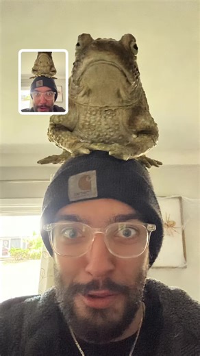 Ruby red focus (@red.focus)’s videos with original sound - FactAZoo