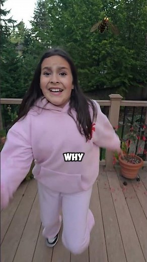 Different types of Bee's