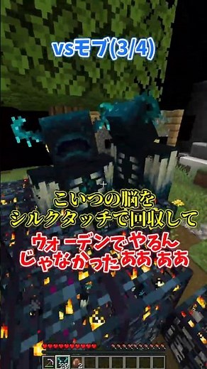 [Minecraft] Silk Touch Infinity vs. Unrecoverable Blocks [Slow Commentary]