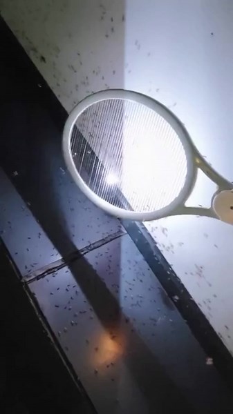 Electric racket against mosquitoes