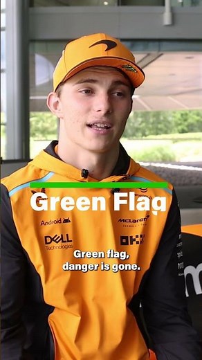 Racing Flags EXPLAINED! 🏁