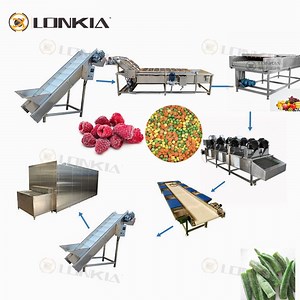 [Hot Item] Advanced and Efficient Frozen Vegetable Production Line