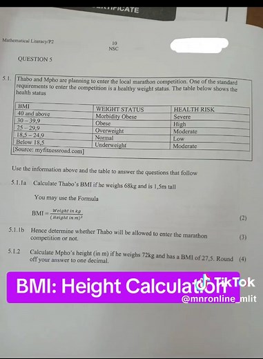#greenscreen Extra Lessons (Online) from R150 for Grade 12 Maths Lit or Life Sciences, inbox me or check my bio if interested. Grade 12 Maths Lit. Personal Income Tax. Finance. Maths Literacy Tutorials, MLIT Tutor #mnronline #grade12 #Grade12 #matric