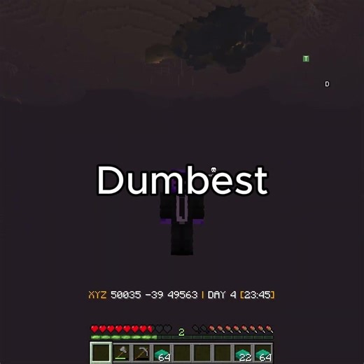 BetterEnd - 100 Days | Log-1... #minecraft #gaming #memes #endupdate #minecraftmods #minecraftmodded