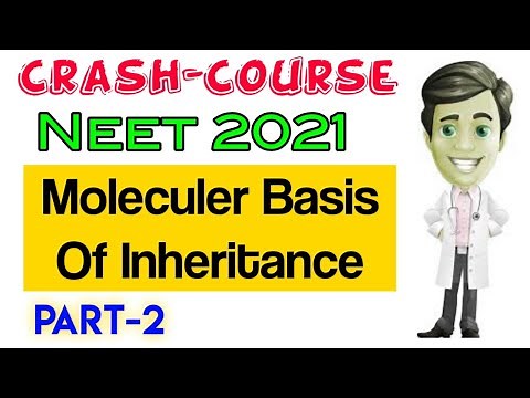 Molecular Basis Of Inheritance-II 🔥🔥| Biology Crash Course | Neet 2021