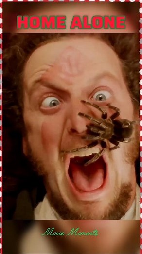 Harry I Got Him, AHHHHHH! Home Alone