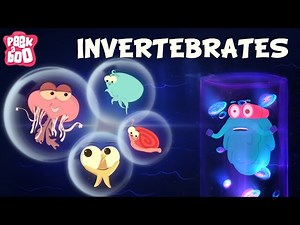 Science - Let's Learn All about Invertebrates