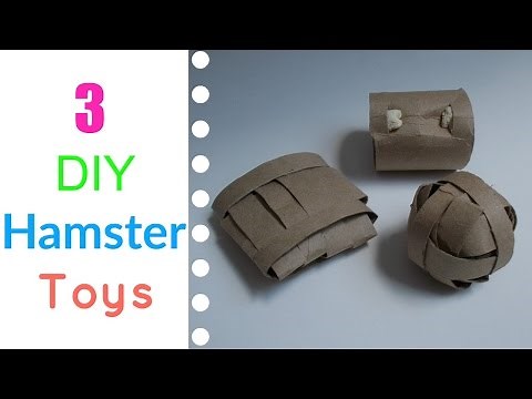 3 EASY DIY Hamster Toys!