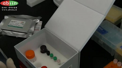ELISA试剂盒实验操作视频