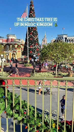 6.7K views · 3.2K reactions | The Christmas tree has arrived in Magic Kingdom ❤️ #disneyparks #disneyworld #waltdisneyworld #magickingdom #disneychristmas | MickeyBlog.com | Facebook