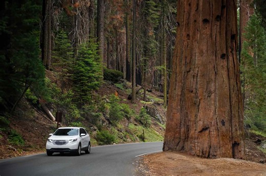 This Is the No. 1 Car Rental Company in the U.S., According to a New Study