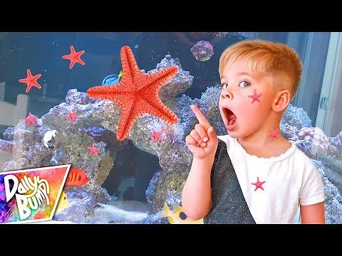 Our Starfish HAD BABIES!! ⭐️