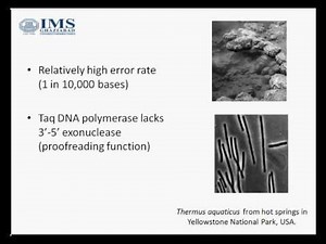 Components of PCR