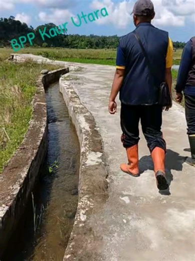 Cek lokasi Oplah tim BPP Kaur Utara. Tetap semangat turun lapangan dg cuaca yg super terik 🥰🔥🔥 #ppl #kementanri #pusluhtanri