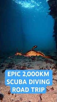 EPIC 2,000km Scuba Diving Road Trip