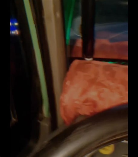 bert (@123long29)’s videos with original sound - 🎀Ella.exe🎀