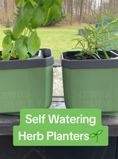 Self-Watering Herb Planters for Summer Gardening