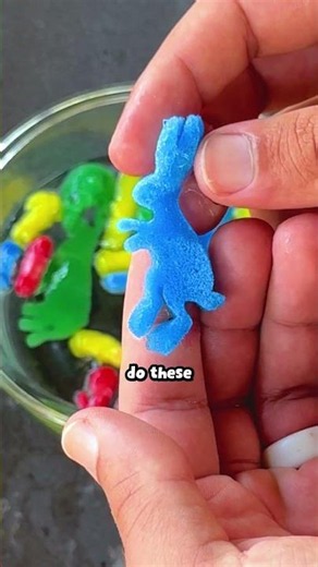 what Grow Capsules look like