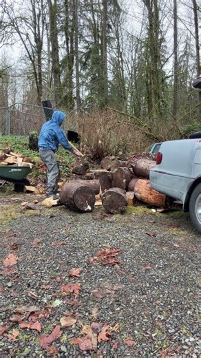 Log splitting Live highlight