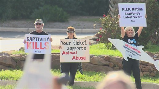 PETA calling on Alamo Bowl organizers to cut ties with SeaWorld after death of captive orca