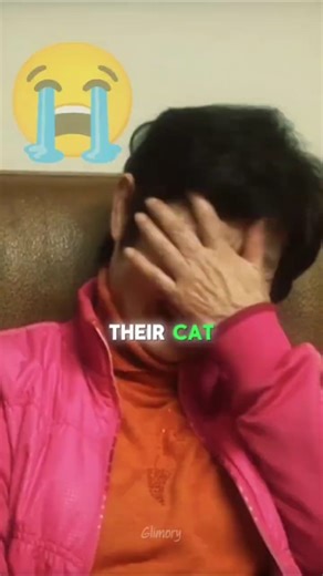 A Family Wears Helmets Around Their Grieving Cat 😿❤️ – Patience Heals Broken Hearts #CatsOfInstagram #CatLovers #PetRecovery #GrievingPets #AnimalLove #HealingPets #CatStories #FurryFamily #PetCare #HeartwarmingAnimals | Zeno Field