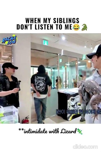 When my siblings don't take me seriously, I mimic Han🦎😂 #han #skz #straykids