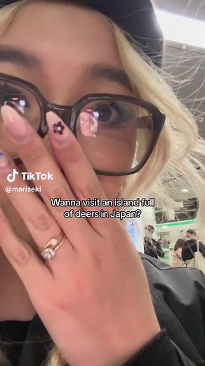 Explore the Enchanting Miyajima Island in Japan