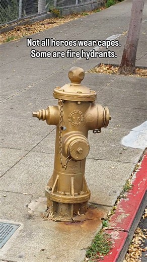 14K views · 96 reactions | A LITTLE HYDRANT WITH A BIG STORY!  The...