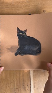 There was a time when I was still using colours. This one is the 2021 (I think) January sketchbook challenge organised by @susanyeatesartist plus a couple more pages that I filled out afterwards, just so I wouldn’t leave them blank. I don’t miss colours, and in case you’re wondering, but I loved looking through this 🙂 * #sketchbook #sketchbookpages #sketchbooktour | Ioana Pioaru