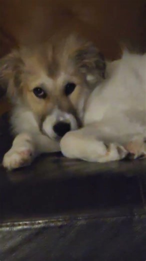 Day 11: Judgemental eyes