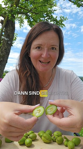 🤩Nussschnaps oder Nusslikör - eine ganz individuelle Entscheidung aber eines ist fix: ☀️Jetzt beginnt die Zeit der grünen Walnüsse, der Johanninüsse. 💚 Außen grün, innen weiß, dann sind sie richtig um verarbeitet zu werden. Und hier für euch mein Fräulein Grün Nussschnaps-Rezept: Zutaten für (2 Liter) 10-12 unreife grüne Walnüsse 2 Liter 40% guten Korn oder Wodka 3 Sternanis 2 TL Fenchelsamen 1 TL Nelken 1 Zimtstangen 1 ganze Vanilleschote 5 Kardamomkapseln 2 TL Wacholderbeeren 3 Blätter Wermu
