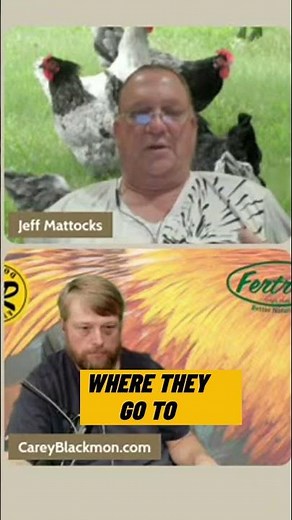 Why The Merck Veterinary Manual?