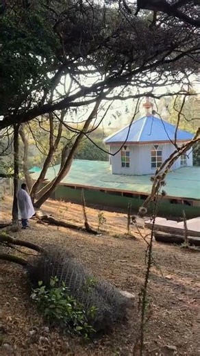 Deep Ethiopian Orthodox Church Quotes for Daily Inspiration #shorts #quotes