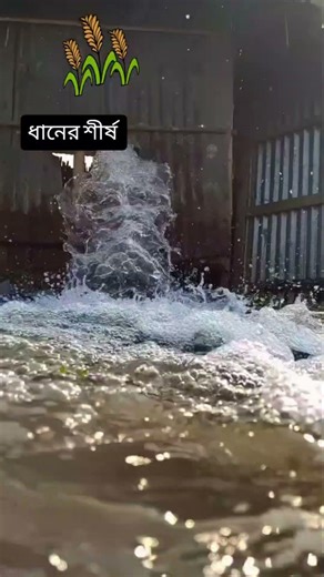 #highlightseveryonefollowers2025 #foryou