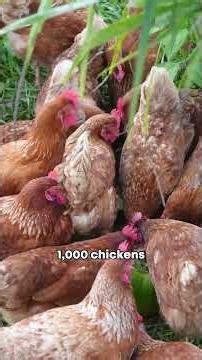 Regenerative Farmers Malaysia selected as Top 30 for the Cyberview Living Lab Accelerator Cohort 21