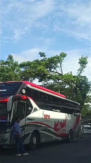 MPM BUS TELOLET #bustelolet #mobilbasuri #telolet #basuribussid
