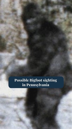 A recent Bigfoot sighting in Pennsylvania has been deemed credible. | WPMT FOX43