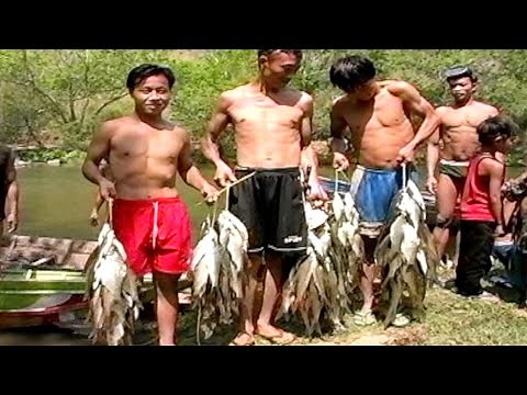 Yos Hav Zoov Teb Chaws Los Tsuas (Hunting in Laos)